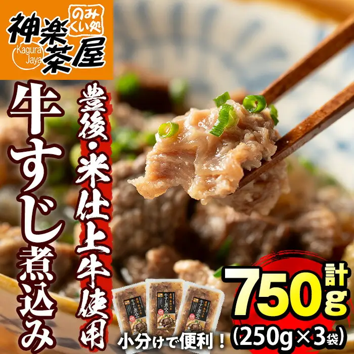 豊後米仕上げ牛 牛すじ煮込み(計750g・250g×3パック)牛肉 お肉 おかず おつまみ 小分け 簡単調理 時短 冷凍 惣菜【111100202】【神楽茶屋】