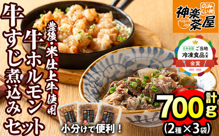 豊後米仕上げ牛牛すじ煮込み＋牛ホルモン炒めセット(合計700g・3パック)牛肉 お肉 小腸 おかず おつまみ 小分け 簡単調理 時短 惣菜【111100302】【神楽茶屋】