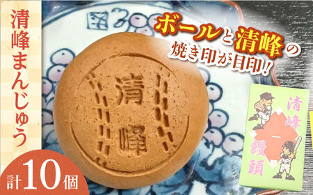 【当店自慢】こだわりの清峰まんじゅう 10個入り【栗まんじゅう本舗　小田製菓】[QAR016]