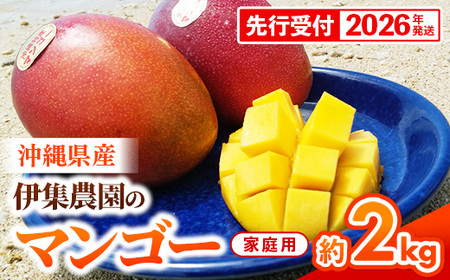 【先行受付】【2026年発送】伊集農園 沖縄県産マンゴー ご家庭用 約2kg - 先行予約 沖縄 産地直送 南国フルーツ 旬の味覚 家庭用 2キロ オススメ 沖縄県 八重瀬町