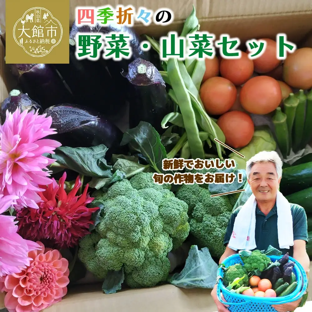 四季折々の野菜・山菜セット（5品目ほど）　45P3203