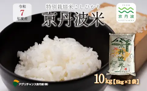 特別栽培米 こしひかり 京丹波町産 10kg 令和7年産米 【米 白米 新米 お米】 [016AGC001]