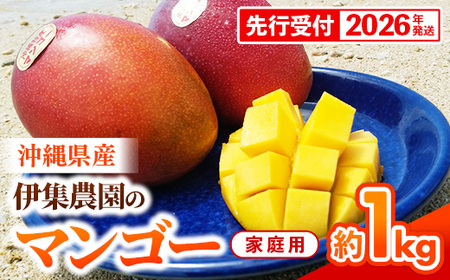 【先行受付】【2026年発送】伊集農園 沖縄県産マンゴー ご家庭用 約1kg - 先行予約 沖縄 産地直送 南国フルーツ 旬の味覚 家庭用 1キロ オススメ 沖縄県 八重瀬町