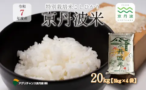 特別栽培米 こしひかり 京丹波町産 20kg 令和7年産米【米  白米 新米 お米】  [032AGC001]