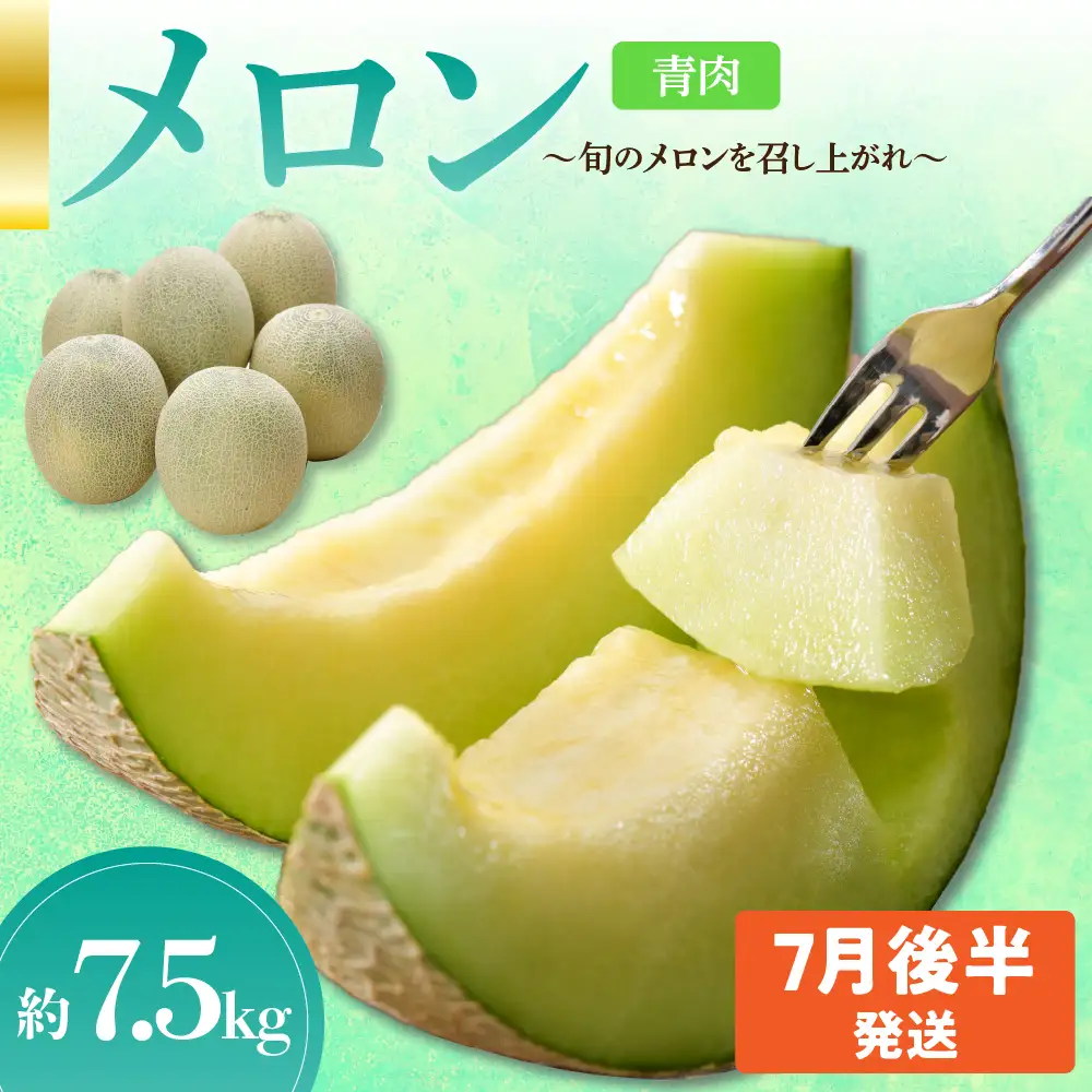 メロン　先行予約【2026年7月後半発送】【秀～優品】 約7.5kg程度(青肉メロン)　青森