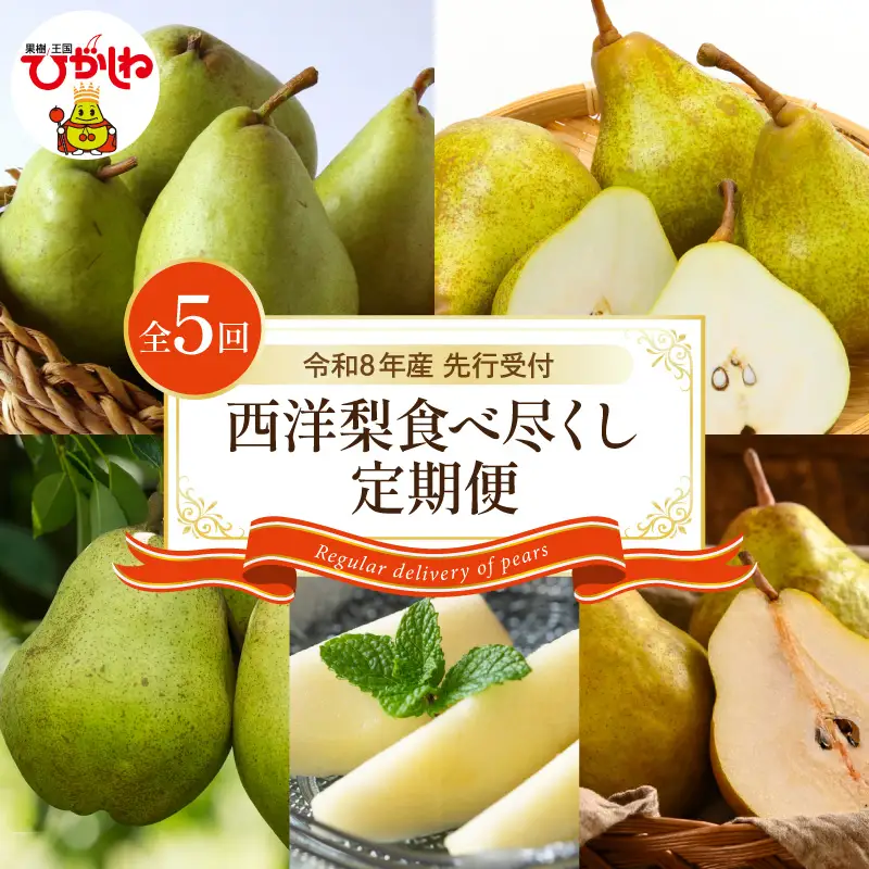 【2026年産5回定期便】西洋梨食べ尽くし定期便 西洋梨 なし 梨