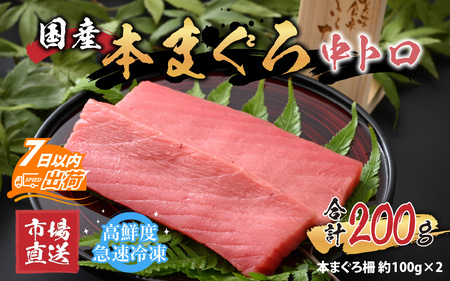 【市場直送】高鮮度急速冷凍 国産本まぐろ 中トロ 約100g（柵）×2 [A-065005] / まぐろ