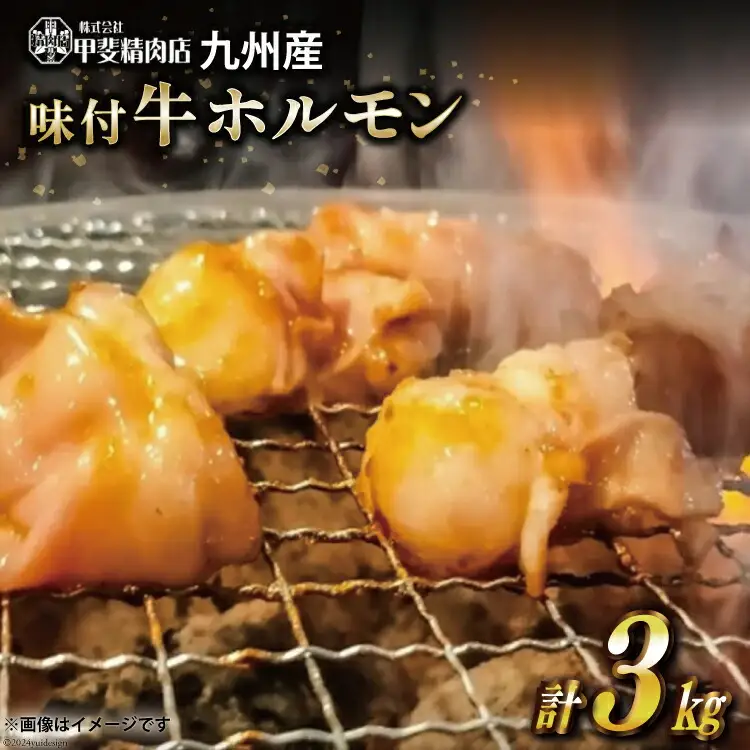九州産 味付 牛ホルモン 300g×10袋 計3kg [甲斐精肉店 宮崎県 日向市 452060712]