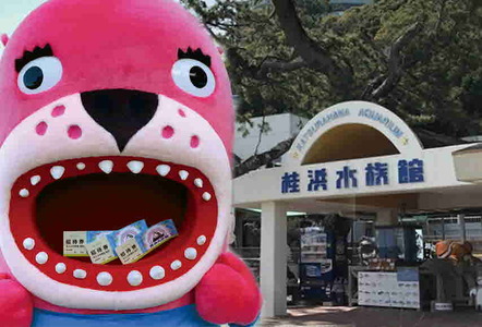 【B06037】桂浜水族館　入館券