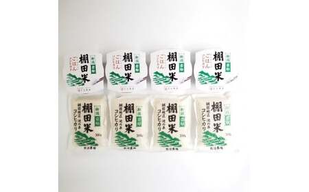 【令和7年産米】 棚田米コシヒカリ 白米1.2kg（300g×4袋）+ 棚田米コシヒカリのパックごはん(150g×4個)セット 計1.8kg 新潟県岩船産 1067082