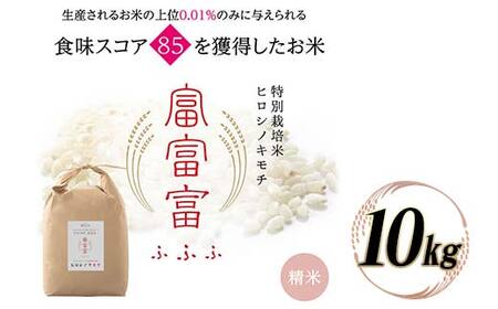 富山県ブランド米 富富富 精米 10kg ふふふ ブランド米 国産 米 お米 日本米 ギフト 贈り物 備蓄 防災 食品 陽咲玲 はるざれ F6T-945