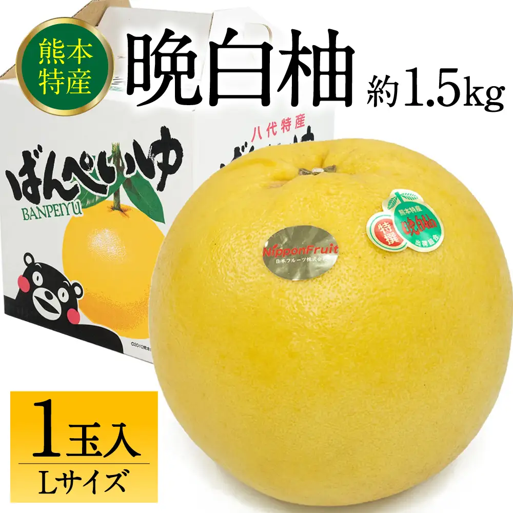 【先行予約】晩白柚 ばんぺいゆ Lサイズ 1玉 約1.5kg 晩白柚 柑橘 【2026年12月上旬より順次発送】