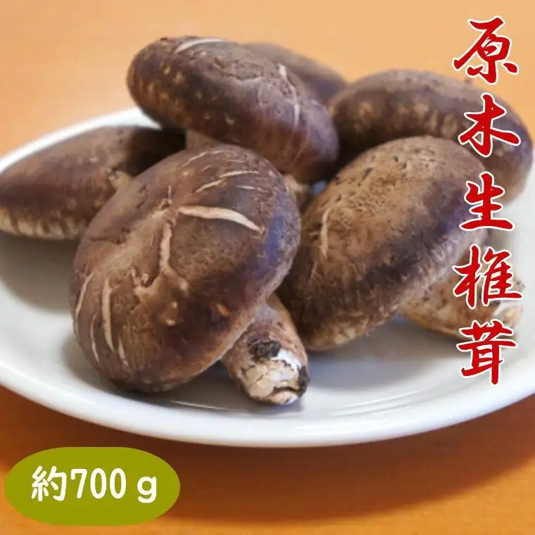 原木生しいたけ約700g 和歌山有田産 ★2026年11月下旬頃より順次発送