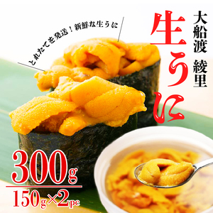 期間限定 水揚げ24時間以内発送 綾里の生うに 300g 150×2パック