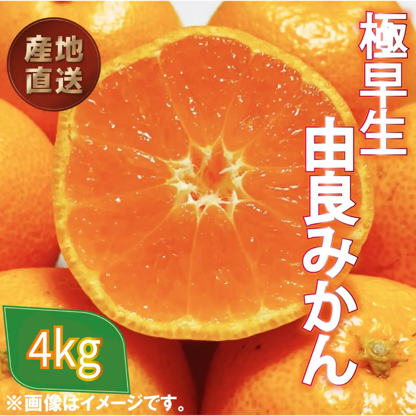 極早生 由良みかん 約 4kg 訳あり みかん