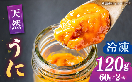 【先行予約】天然 生うに 60g×2【2026年6月以降順次発送】 [JAQ012] 冷凍うに