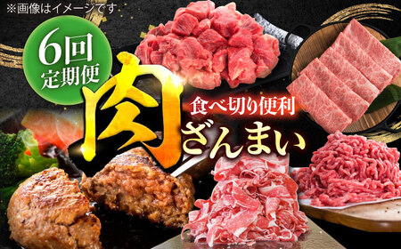 【6回定期便】肉ざんまい定期便（一人暮らし向け・少量） / 牛肉 [IAX049]