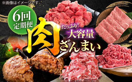 【6回定期便】肉ざんまい定期便（大家族向け・大容量） / 牛肉 [IAX050]