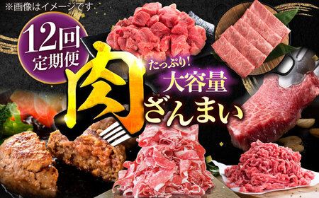 【12回定期便】肉ざんまい定期便（大家族向け・大容量） / 牛肉 [IAX052]