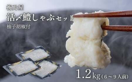 活〆鱧しゃぶしゃぶセット 1200g(6~9人前) | 豊後高田市 鱧