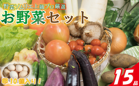 【野菜】 野菜セット 15品 ( みかんたまご 10個入り ) | 愛媛県 松山市【VEG038】