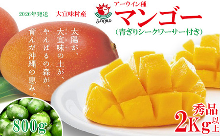 マンゴー【2026年発送】大宜味村産 アーウィン種マンゴー　秀品2キロ以上（青ぎりシークワーサー800ｇ付き） フルーツ 
