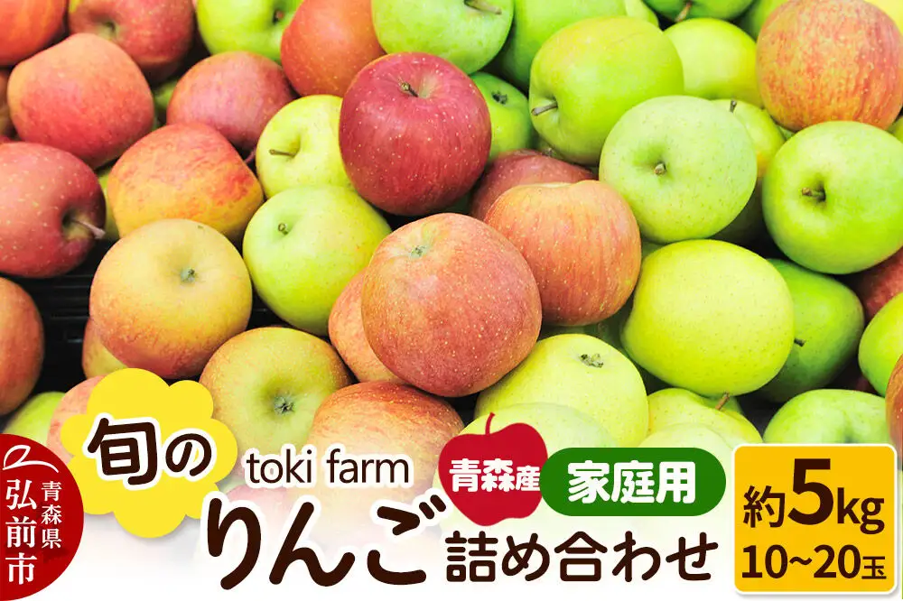 【26年11月中旬～発送】りんご 旬のりんご詰め合わせ 約5kg（12～20玉程度）家庭用 toki farm