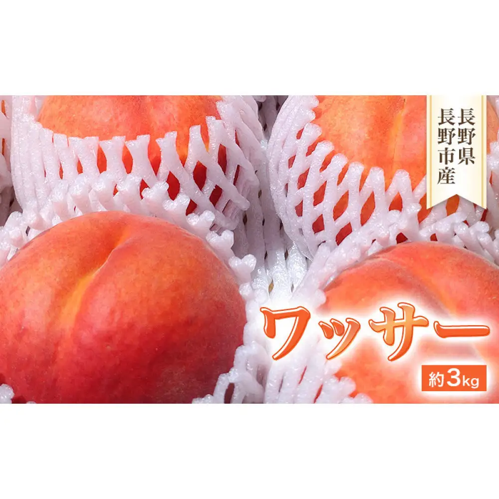 2026年発送　長野市産　ワッサー　約3kg | 桃 もも モモ 桃