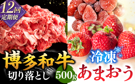 【全12回定期便】【訳あり】博多和牛 切り落とし ＆ あまおう セット1.3kg 桂川町/株式会社 MEAT PLUS [ADAQ071] 訳あり 定期便 国産 牛肉 和牛 牛切り落とし イチゴ いちご 