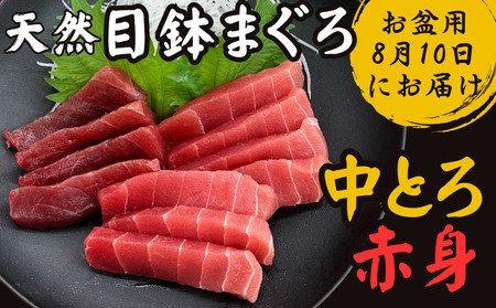 【お盆用】天然目鉢鮪 中とろ2柵・赤身1柵＜A2ランク＞（2026年8月10日にお届け） M005-005 目鉢鮪 鮪 まぐろ