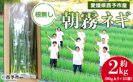 ＜愛媛県西予市産 朝霧ネギ 約2kg（80g入り×25袋）＞ 根無し 西予市産 愛媛県産 国産 野菜 やさい 青葱 青ネギ 青ねぎ 葉ネギ 葱 ねぎ 特産品 株式会社ノムランド 愛媛県 西予市【冷蔵】『1か月以内に順次出荷予定』NNM0001