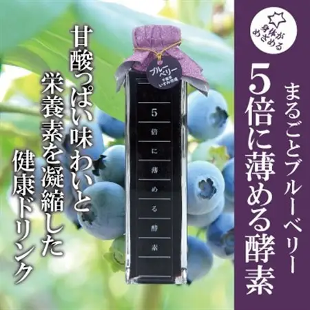 5倍に薄める酵素・まるごとブルーベリー_飲料・ドリンク  果汁飲料 _【配送不可地域：離島】【1500617】
