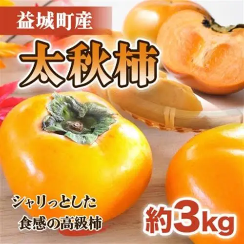 益城町産 太秋柿 約3kg(益城町)【配送不可地域：離島】【1510883】