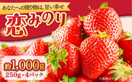 【2027年1月-発送】 いちご恋みのり 250g × 4パック [SAC007] いちご