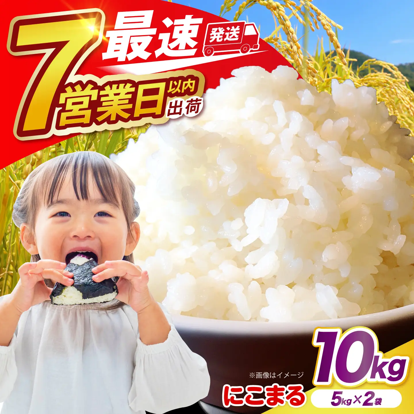 精米 にこまる 5kg×2袋 米 [SDR013]