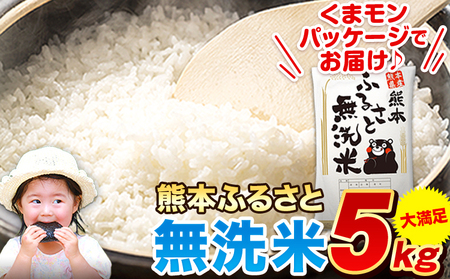 無洗米ふるさと無洗米 5kg(5kg×1袋)《1-5日以内に出荷予定(土日祝除く)》
