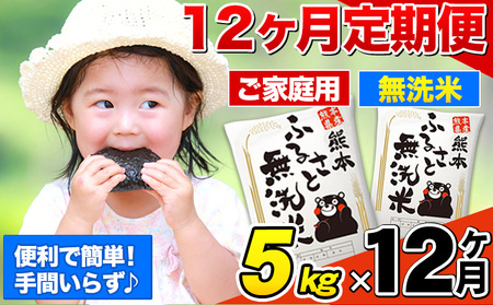 【12ヶ月定期便】熊本ふるさと無洗米 5kg 《お申込み翌月から出荷》
