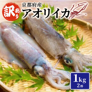 【訳あり】 京都府産 アオリイカ 約1kg 2杯 冷凍 イカ