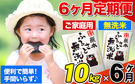 【6ヶ月定期便】熊本ふるさと無洗米 10kg《お申し込みの翌月から出荷》