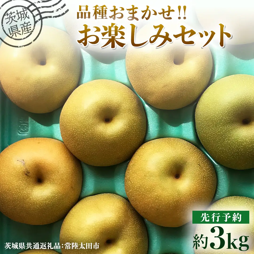 【 先行予約 】茨城県産 梨 品種おまかせお楽しみセット 約3kg 6玉～10玉 ( 茨城県共通返礼品 : 常陸太田市 )【 2026年 9月上旬頃より発送 】 