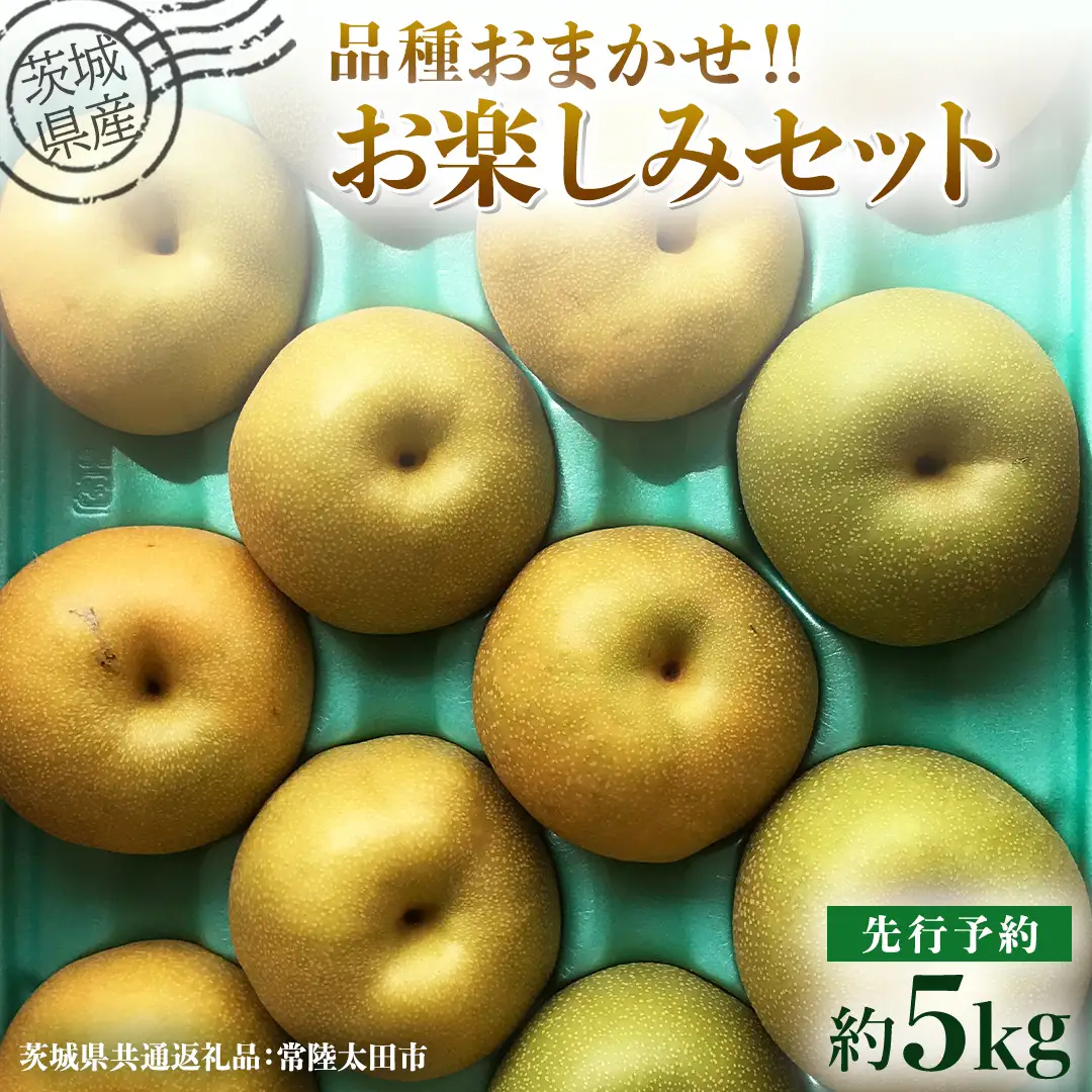 【 先行予約 】茨城県産 梨 品種おまかせお楽しみセット 約5kg 8玉～16玉 ( 茨城県共通返礼品 : 常陸太田市 )【 2026年 9月上旬頃より発送 】 