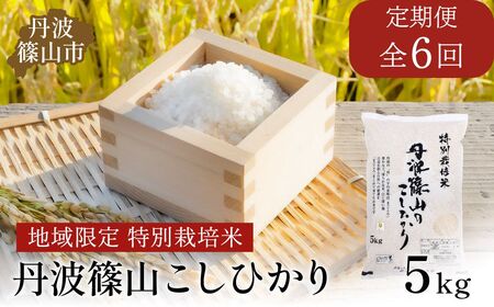 【6回定期便】特A 特別栽培米 コシヒカリ 精米 5kg 定期便