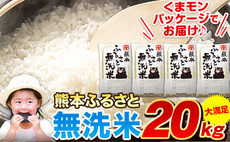 米ふるさと無洗米 20kg (5kg×4袋) 米 《1-5日以内に出荷予定(土日祝除く)》