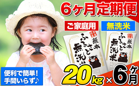 【6ヶ月定期便】熊本ふるさと無洗米 20kg《お申し込みの翌月から出荷》