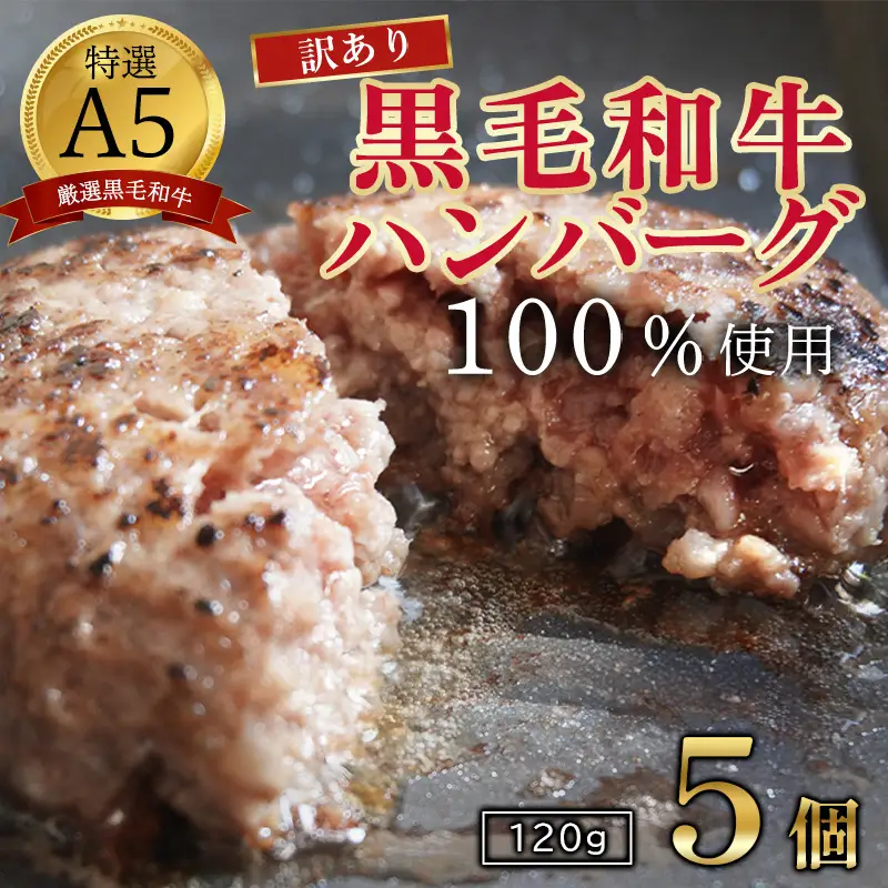 訳あり 黒毛和牛 手ごねハンバーグ 120g×5個   A5ランク