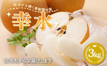 【2026年出荷分先行予約】明治から続く果樹園の梨「幸水」3kg（玉数おまかせ） なし 果物 くだもの デザート ギフト ナシ 甘い フルーツ 福島県 白河市 F24R-217