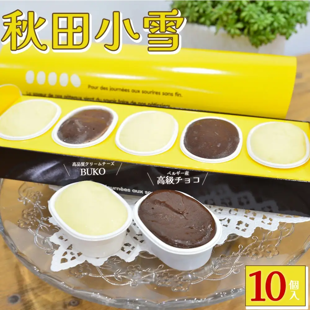秋田小雪10個入 50P5625