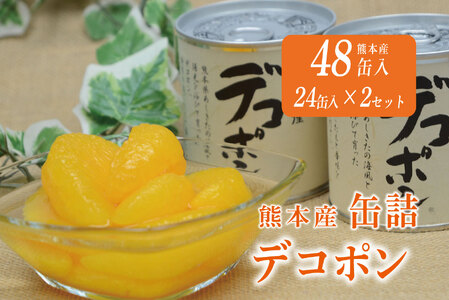 B243-50 デコポン缶詰（24缶入×2ケース）