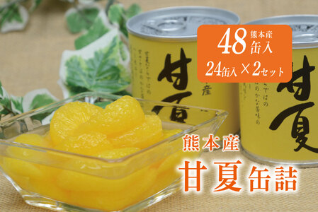 B242-50 甘夏缶詰（24缶入×2ケース）