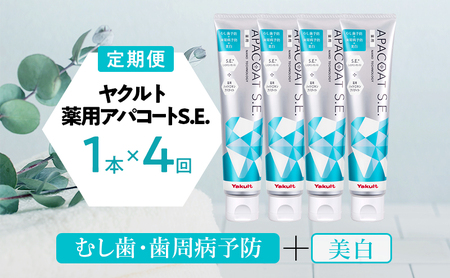 定期便 4回 隔月 ヤクルト 薬用 歯磨き粉 4個セット 【アパコートS.E.】
